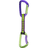 Purple/Green