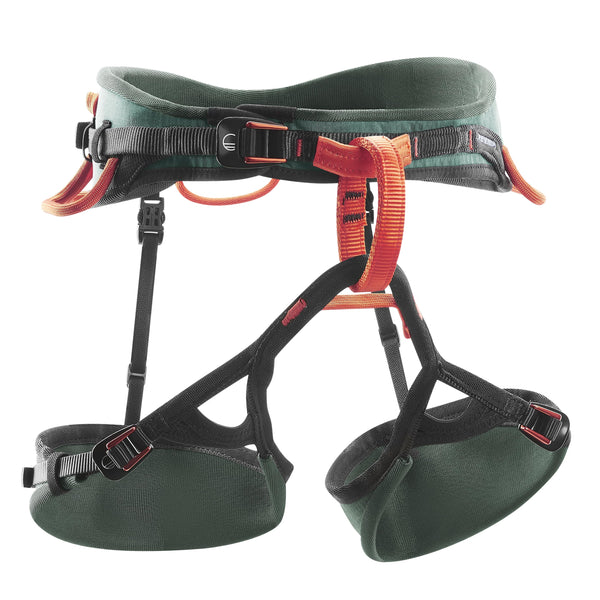 Session Harness Men's