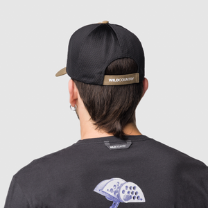 Session 2 Cap