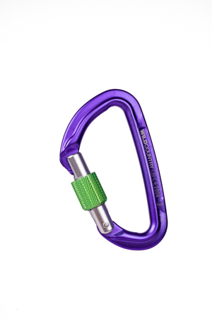Session Screw Gate Locking Carabiner